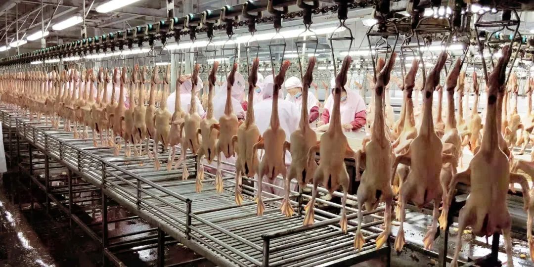 046103759e18959f1a287749f0c7e984.jpg 046103759e18959f1a287749f0c7e984.jpg