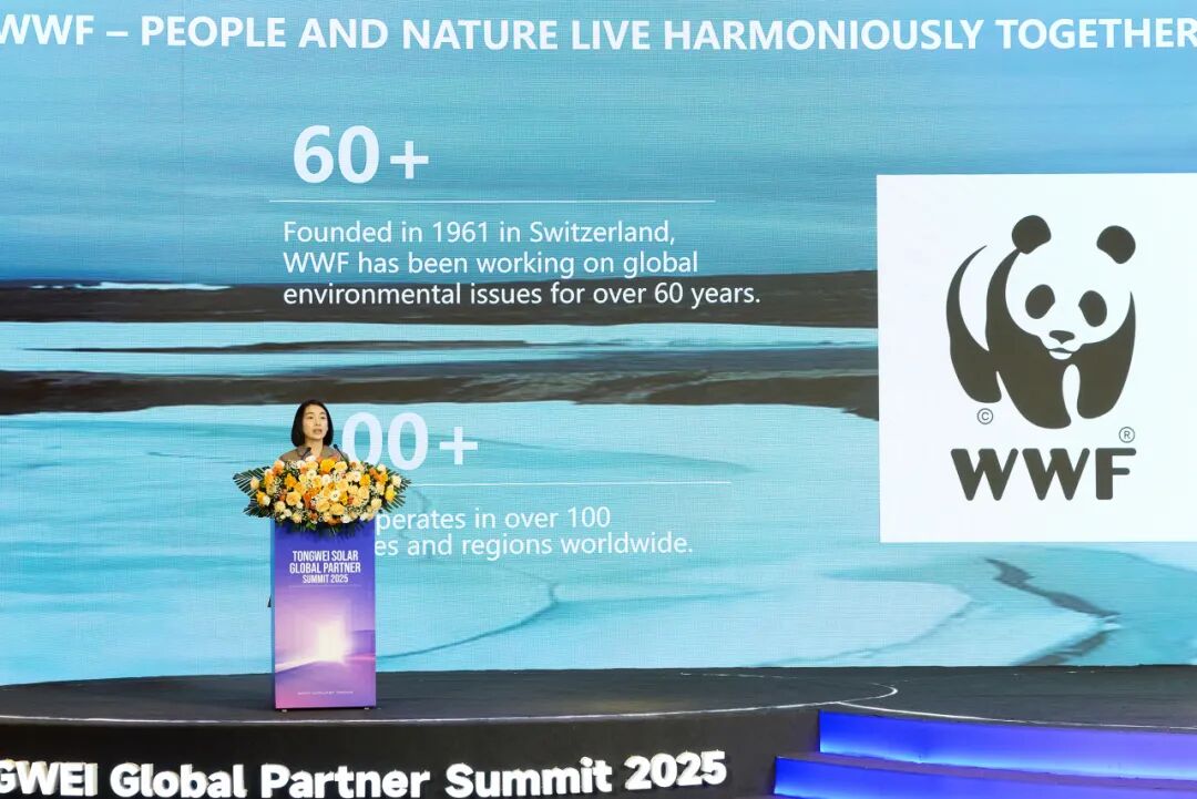 d0281e3b983d8e5739d9590d25a6f378.jpg d0281e3b983d8e5739d9590d25a6f378.jpg