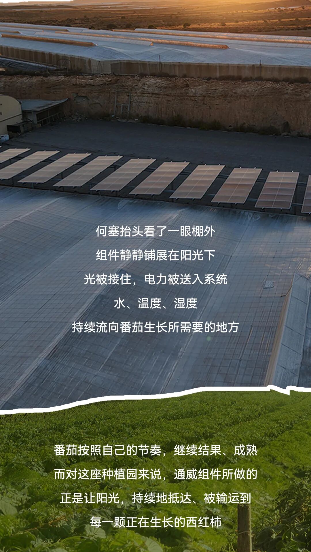 3d771241e9b374530a6b81ce6625e596.jpg
