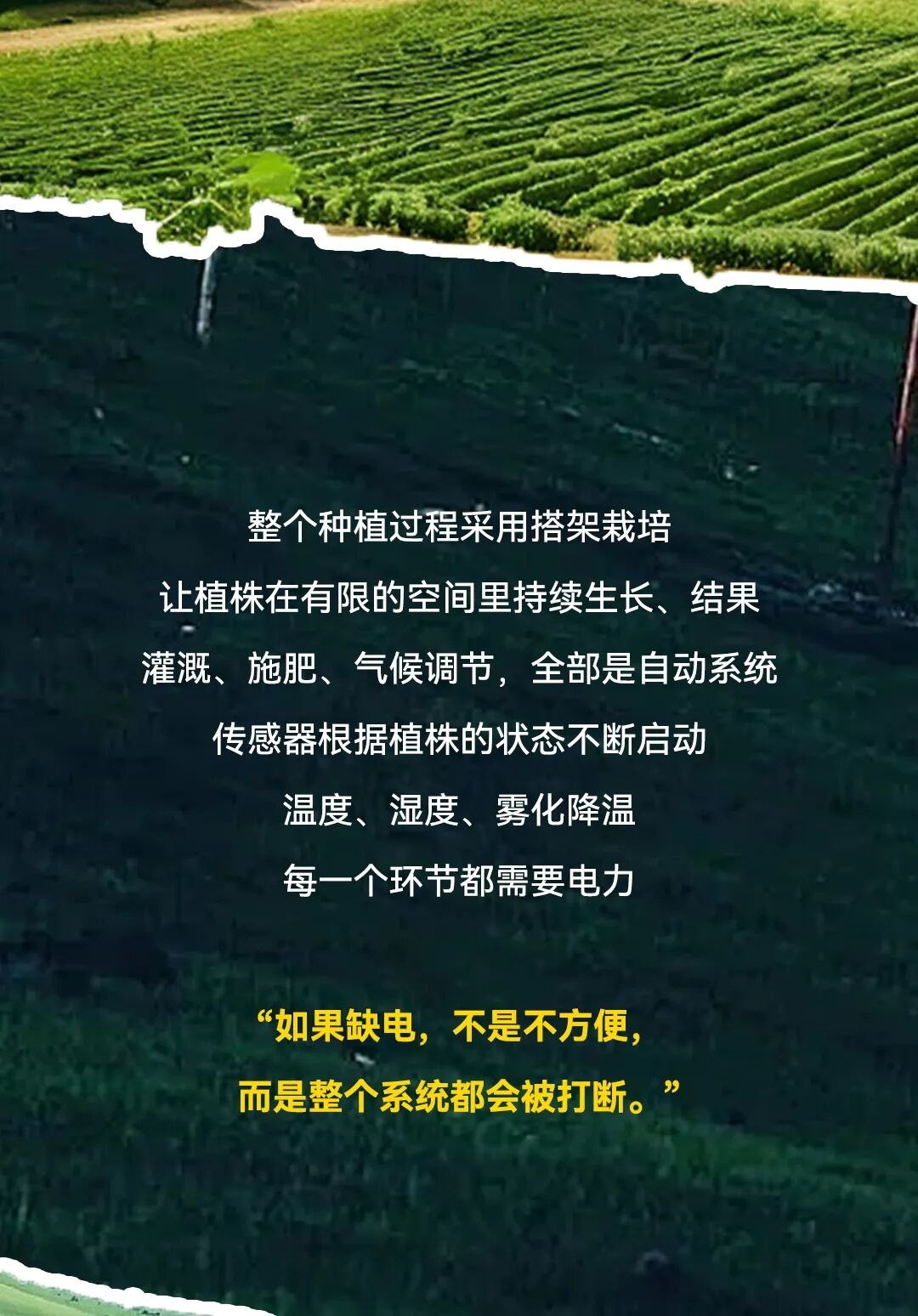8d6adc2e38c0700513efaeb7fa8649f2.jpg