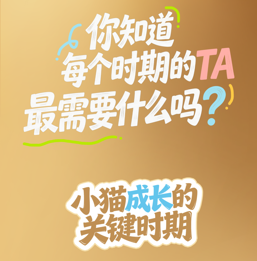 5945b11424daf38b6b5f5148205444d9.png