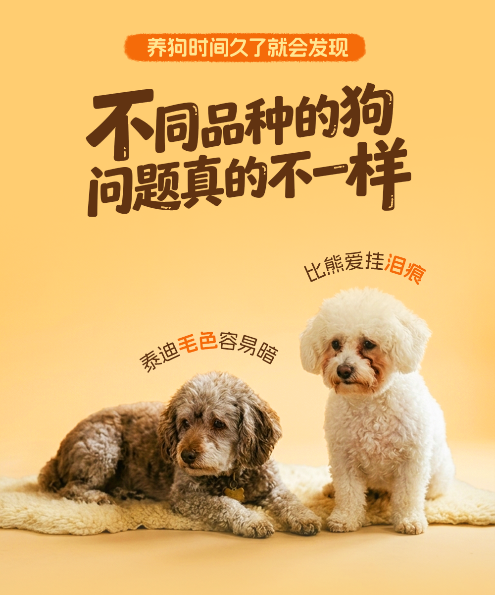 2401520eaec681be7e1682b3f191ffea.png