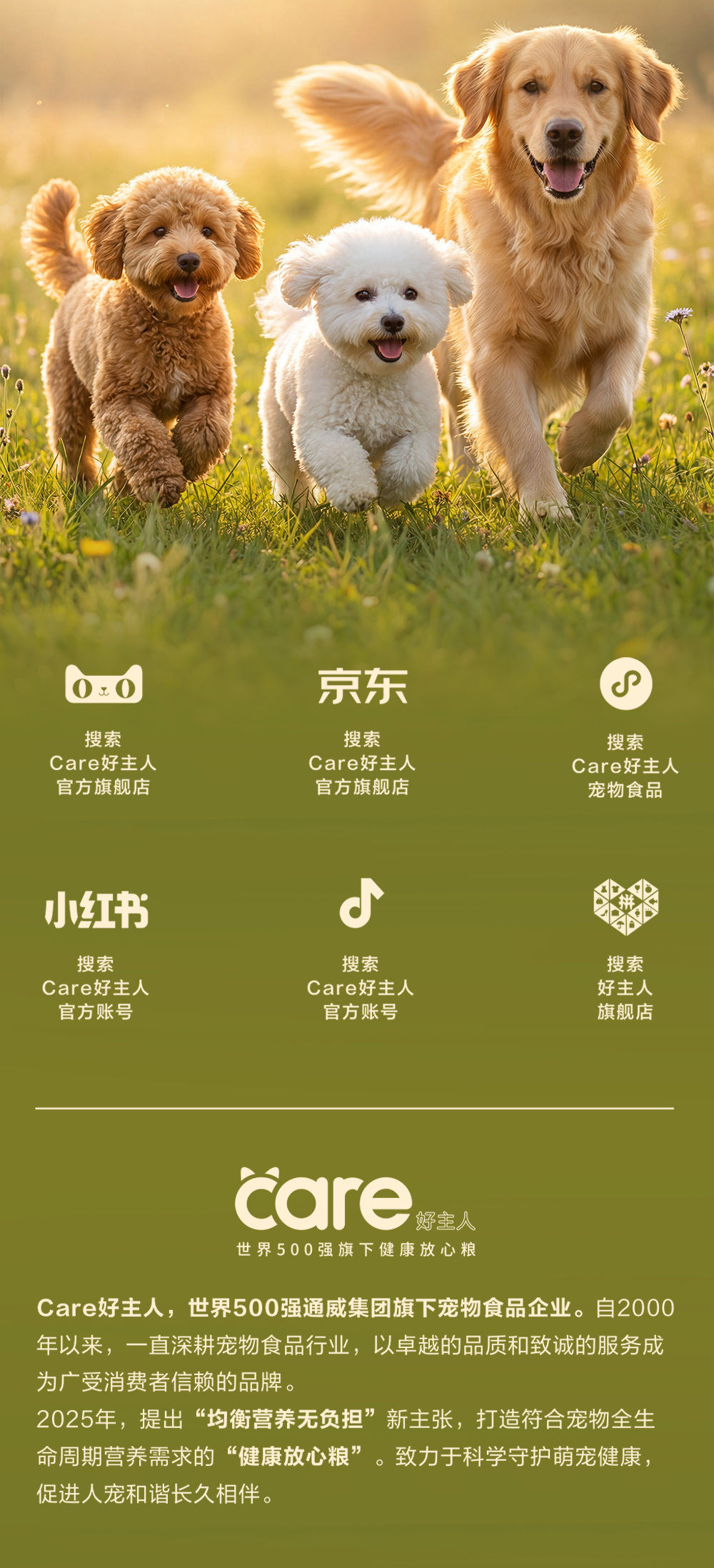 e6b9f3095a48789e4d7e69ccce982308.png