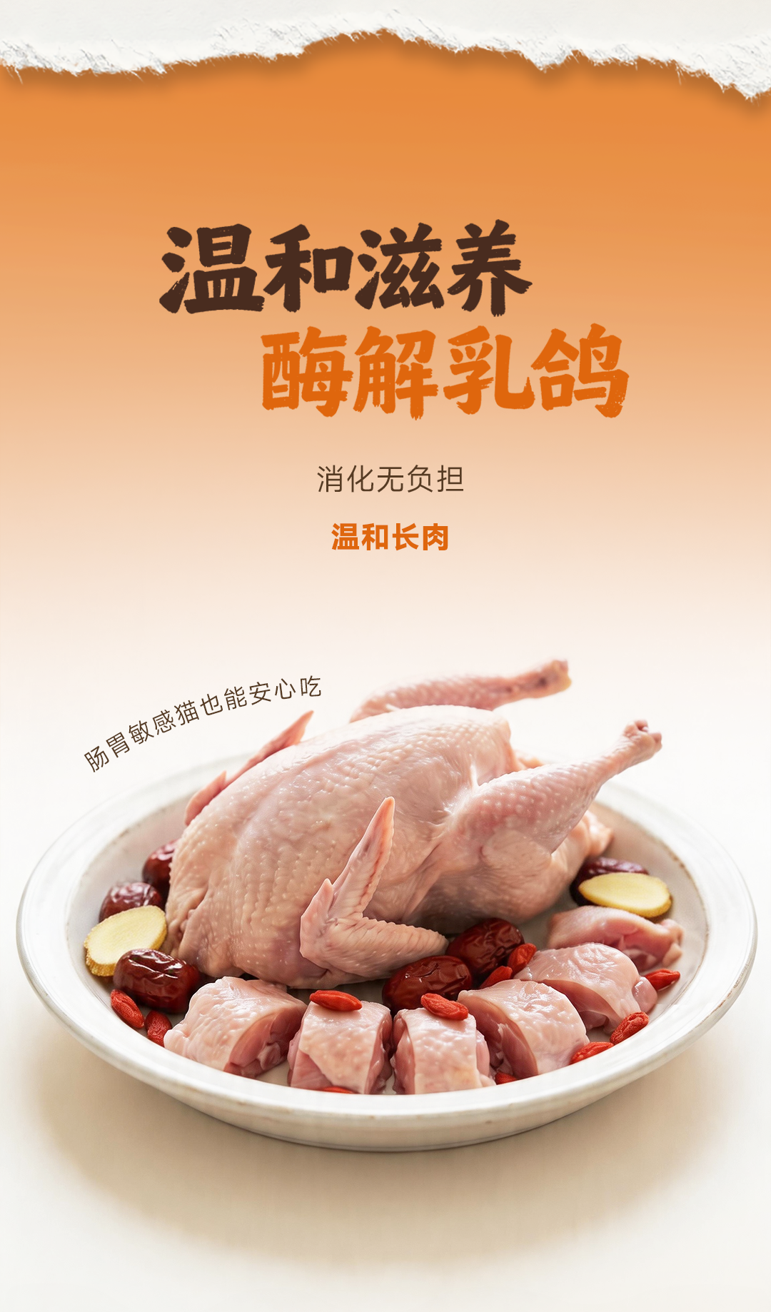 636b5bf5c48087db550da68e03bab46d.png